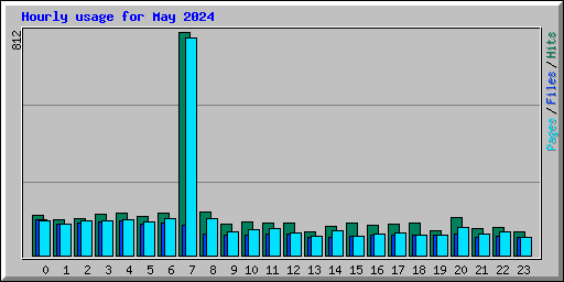 Hourly usage for May 2024