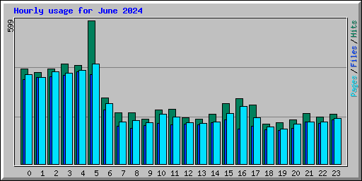 Hourly usage for June 2024