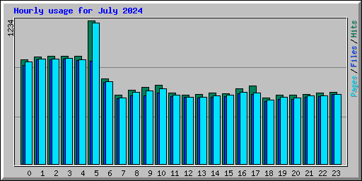 Hourly usage for July 2024